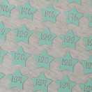 Silitettävä kokomerkki, TÄHTI, sage, 5 kpl