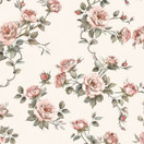 Beauty roses, trikoo