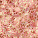 PALA 130 cm, Golden Leo, Joustocollege