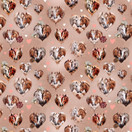 Harjattu joustocollege, Hevoset