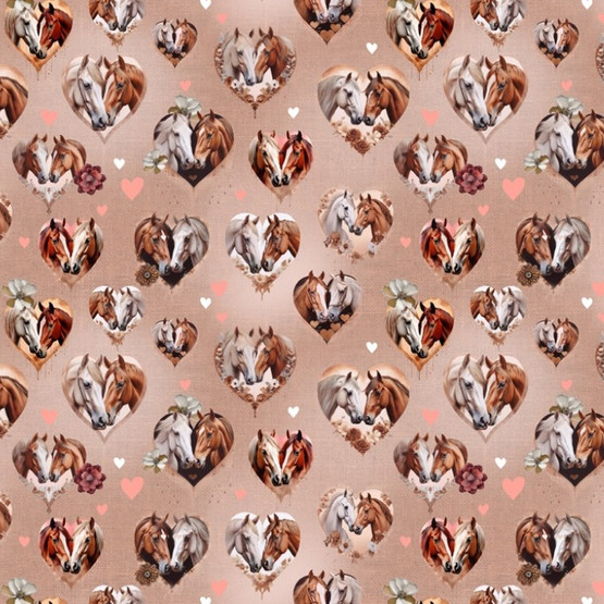 Harjattu joustocollege, Hevoset