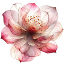 Värillinen silityskuva : Golden Flower, pienempi