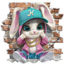 Värillinen silityskuva : Hiphop Bunny