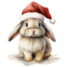 Värillinen silityskuva : Joulupupu