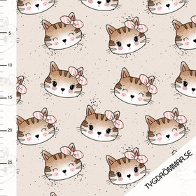Kitten, Joustocollege