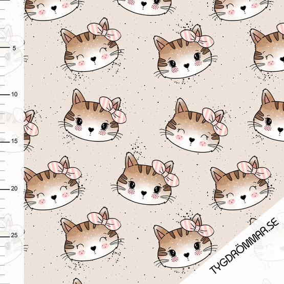 Kitten, Joustocollege