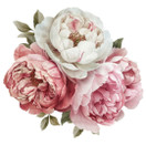 Värillinen silityskuva: Pionit