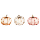 Värillinen silityskuva: Kurpitsat