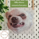 TILAUSTUOTE: Värillinen silityskuva omasta kuvasta