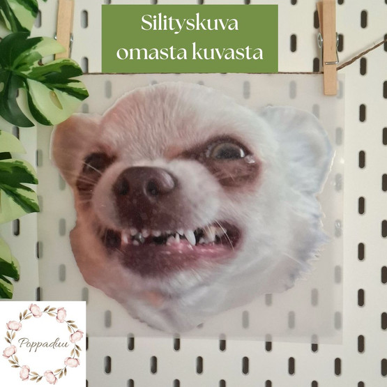 TILAUSTUOTE: Värillinen silityskuva omasta kuvasta