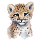Värillinen silityskuva : Lumileopardi
