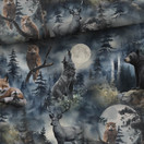 Night Forest, joustocollege