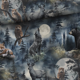 Night Forest, joustocollege