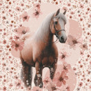 Horse paneeli, joustocollege