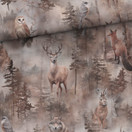 Usvainen aamu, joustocollege