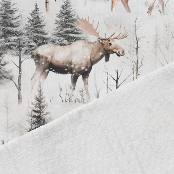 Luminen Metsä, joustocollege