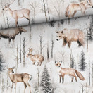 Luminen Metsä, joustocollege