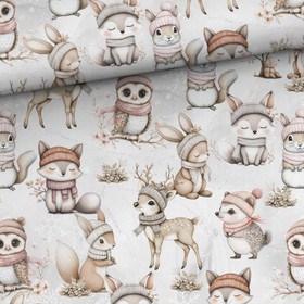 Talven Ystävykset, joustocollege