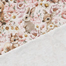 Satumetsän asukkaat, joustocollege