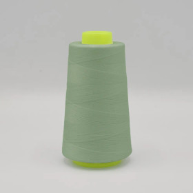 Saumurilanka - Pastel Mint nr.221, 3000 yd