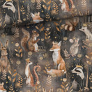 Taikametsän väki, joustocollege