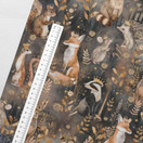 Taikametsän väki, joustocollege