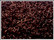 Rengas Ø 5 mm, lanka 1 mm, 50 kpl, pronssi