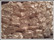 Makeanveden helmi, vapaamuot. 14 x 17 mm, valk., 5 kpl
