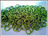 Rengas Ø 6.6 mm, lanka 1.6 mm, 50 kpl, lime