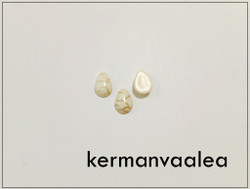 Howliitti 10 x 7 mm pisarakapussi, eri värejä