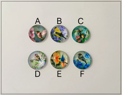 Lasikapussi Ø 25 mm Lintu