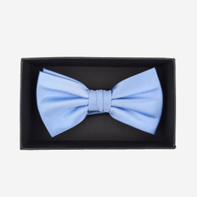 Rusetti lahjakotelossa -Sininen