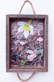 Valokuva tarjotin,omasta kuvasta A4