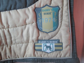 Harry's Horse kouluhuopa FULL