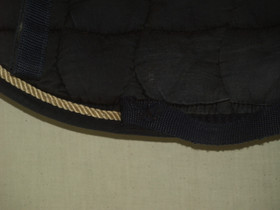 Schockemöhlen yleishuopa