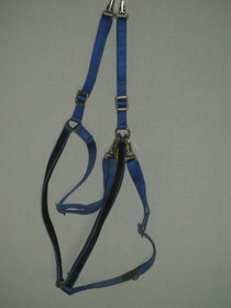 Wahlstenin ristirintaremmi