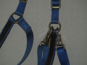 Wahlstenin ristirintaremmi