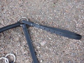 Musta rintaremmimartingaali COB