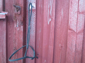 Englantilainen turparemmi, full