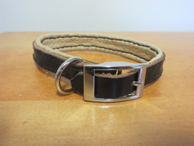 Pikkukoiran pehmeä panta, pituus 26-27 cm