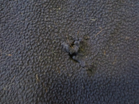 Paksu fleeceloimi 155 cm, pientä kokoa.