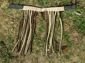 Kärpäshapsu riimuun