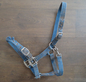 Sininen nylonriimu tarhaan COB