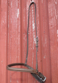 Ruskea englantilainen turparemmi, pieni FULL