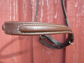 Ruskea englantilainen turparemmi, pieni FULL