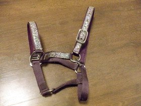 Liila nylonriimu upeilla hopeakoristeilla COB