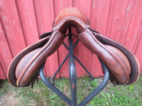 Lippo estesatula, istuin 17, leveys MW