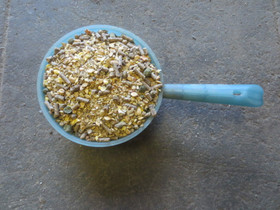 Ruokinnan konsultaatio