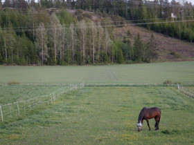 Harrastehevosen huoleton ruokinta - paketti