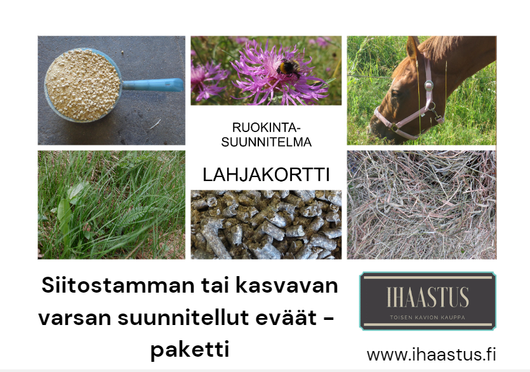 Lahjakortti: Siitostamman tai kasvavan varsan ruokintasuunnitelmaa